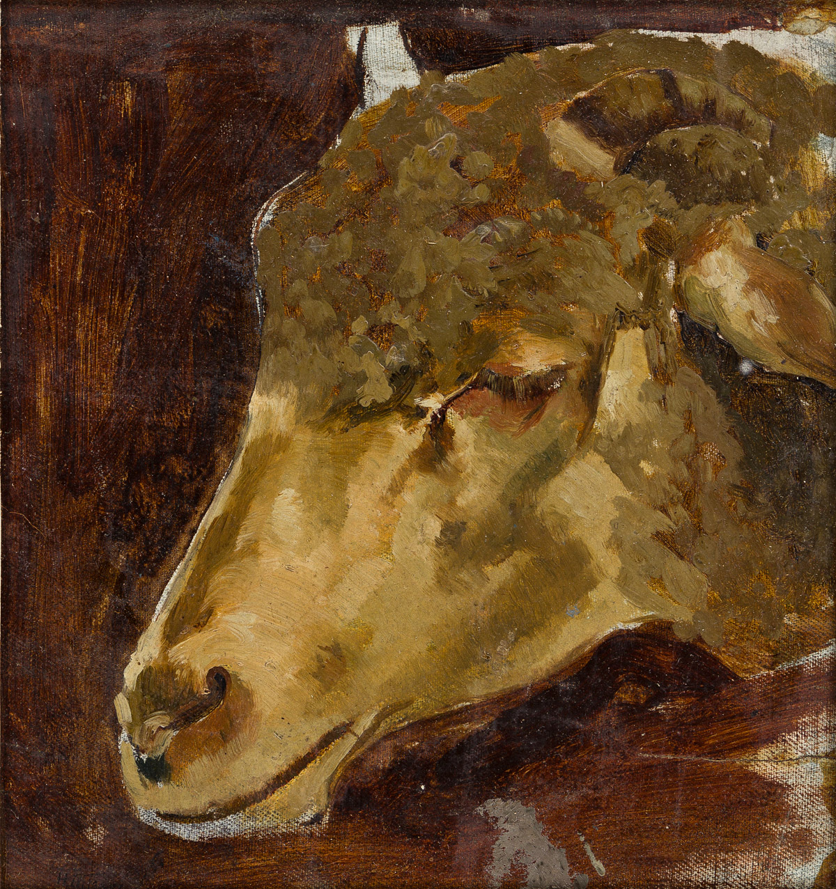 HENRY OSSAWA TANNER (1859 - 1937) Head of a Sheep.